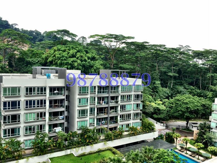 The Raintree (D21), Condominium #85120362